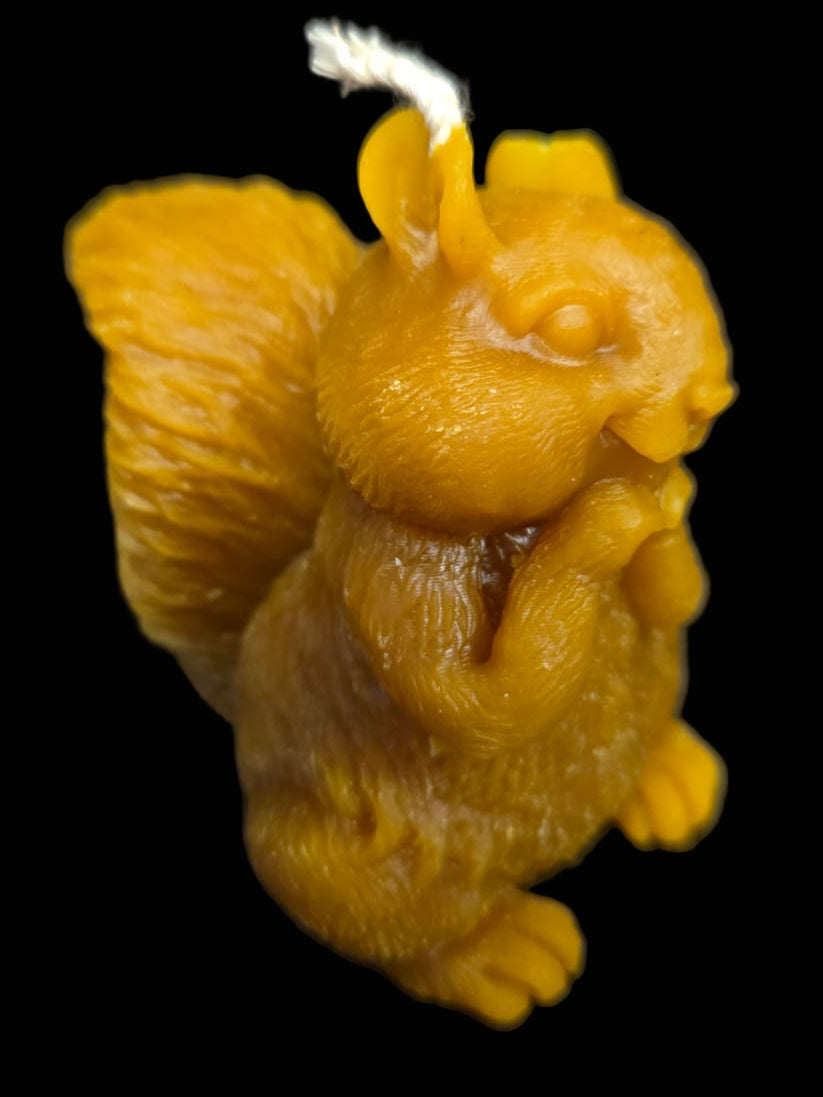 Ardilla de cera natural de abeja